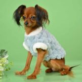 u328-Screenshot_2026-01-05-21-01-31-608_com.google.android.apps_.docs-edit