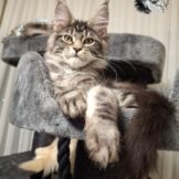 u4917-14312e2f-38bd-44de-9829-ebc4c6247bd9