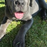 u5187-WhatsApp-Image-2026-01-05-at-15.46.16