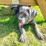 u5187-WhatsApp-Image-2026-01-05-at-15.52.03