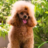 u1168-summer-1500-x-1000-פיקסל