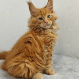 u3453-Untitled-design-1