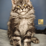 u3453-Untitled-design-2