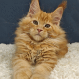 u3453-Untitled-design-2-2