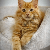 u3453-Untitled-design-3