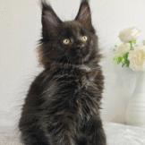 u3453-Untitled-design-4