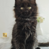 u3453-Untitled-design-5