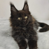 u3453-Untitled-design-6