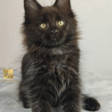 u3453-Untitled-design-7