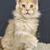 u3453-без-названия-4