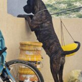 u3754-WhatsApp-Image-2026-01-04-at-17.09.39