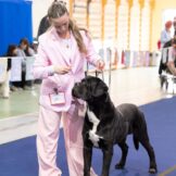 u3754-WhatsApp-Image-2026-01-04-at-17.09.41