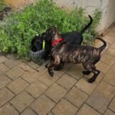 u3754-WhatsApp-Image-2026-02-07-at-16.34.36