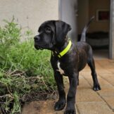 u3754-WhatsApp-Image-2026-02-07-at-16.34.37-1