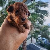 u3760-20260205_165755_800x600