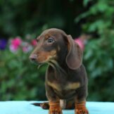 u3905-3cd59b39-e6c9-4e46-8d91-6879fc7e23d4