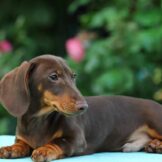 u3905-c77590f3-351c-4aaf-b072-bbff56f881e5