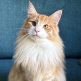 u4665-90C0A1DA-3983-4603-8C42-0539307558B2