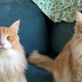 u4665-D8BDFA39-C984-4EFD-BEEF-F02CB4670DAD