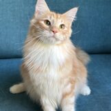 u4665-E5A91692-9A15-4CBC-B77E-76FBAF6BC363