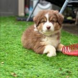 u5224-4b10c403-9abe-4d3d-a8e3-3c0284ee01b7