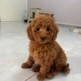 u5242-d2a45ed9-6276-429d-9f36-5c3e734e5da1