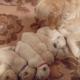 u5251-WhatsApp-Image-2026-01-21-at-16.36.28