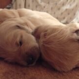 u5251-WhatsApp-Image-2026-01-21-at-16.36.31