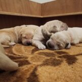 u5251-WhatsApp-Image-2026-01-21-at-16.57.26