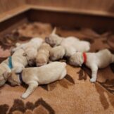 u5251-WhatsApp-Image-2026-01-21-at-16.57.28