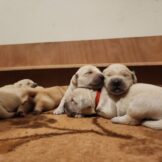 u5251-WhatsApp-Image-2026-01-21-at-16.57.29