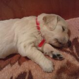 u5251-WhatsApp-Image-2026-02-05-at-20.45.51