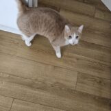 u5257-WhatsApp-Image-2026-02-11-at-14.54.20