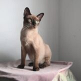 u716-524269794_24723696270569424_8093068399802375042_n