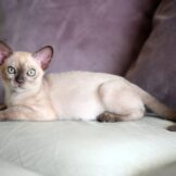 u716-527371033_24772900842315633_658810685572517081_n