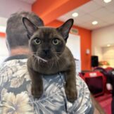 u716-552150831_31287202224258131_8965547712476473065_n