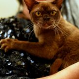 u716-604578164_840984065395969_2951301568039955032_n