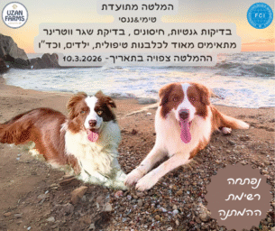 גורי בורדר קולי מתועדים