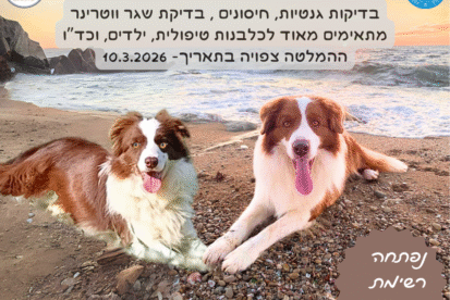 גורי בורדר קולי מתועדים