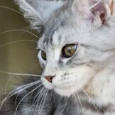 u2256-20260316_133519