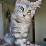 u2256-Screenshot_20260318_170220_Gallery