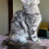 u2256-Screenshot_20260318_170226_Gallery