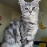 u2256-Screenshot_20260318_170246_Gallery-1