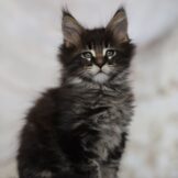 u2866-IMG-20260330-WA0045-3