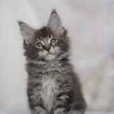 u2866-IMG-20260330-WA0046-3