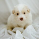 u3627-WhatsApp-Image-2026-03-21-at-16.39.01-1