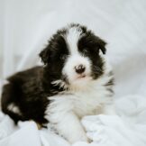 u3627-WhatsApp-Image-2026-03-21-at-16.39.02