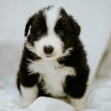 u3627-WhatsApp-Image-2026-03-21-at-16.39.02-2