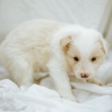 u3627-WhatsApp-Image-2026-03-21-at-16.39.02-3