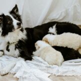 u3627-WhatsApp-Image-2026-03-21-at-16.39.02-4